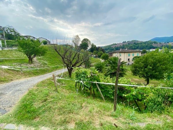 Casa di tre appartamenti per investimento a reddito 12