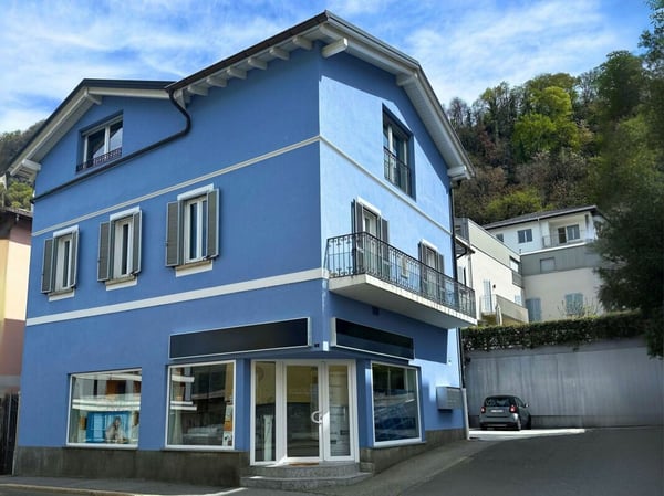 Magnifica palazzina composta da 3 appartamenti e 2 locali commerciali 1