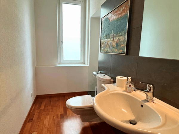 Vendesi elegante appartamento in centro Chiasso adibito a uffici 10