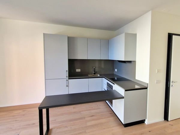 Nuovo e moderno appartamento di 1.5 locali in centro a Chiasso 2