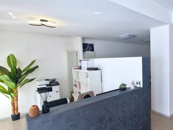 Spaziosi uffici in centro a Chiasso 2