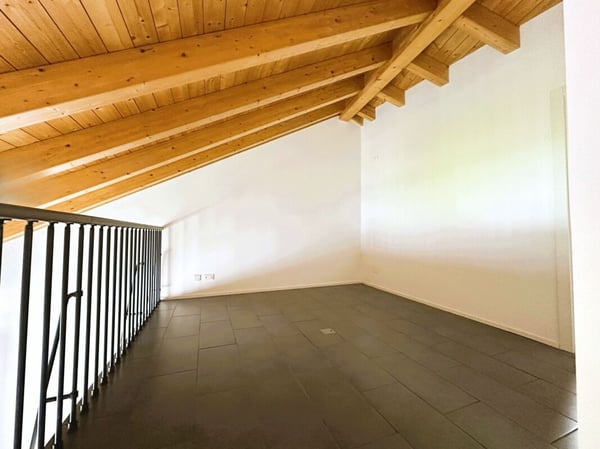 Caratteristico appartamento duplex di 1.5 locali, ultimo piano 9