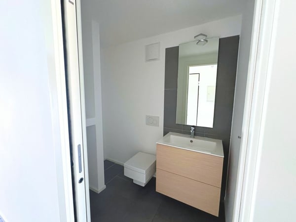 Caratteristico appartamento duplex di 1.5 locali, ultimo piano 15