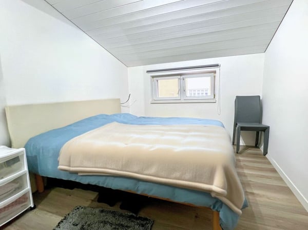 Magnifica palazzina composta da 3 appartamenti e 2 locali commerciali 8