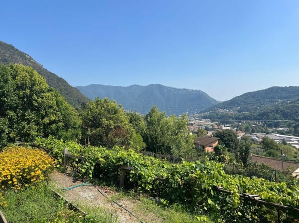 Terreni edificabili acquistabili separatamente, vista aperta 1