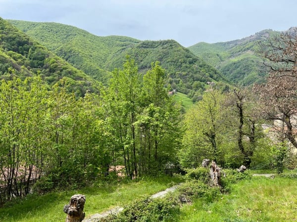 Terreno di 1'870 mq in posizione rialzata e soleggiata 1