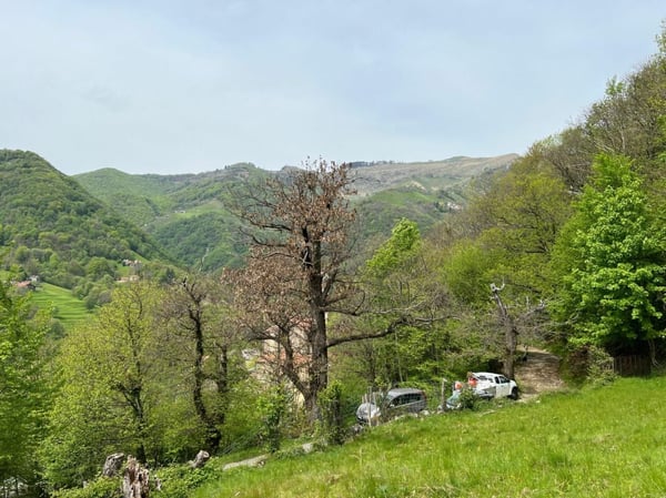 Terreno di 1'870 mq in posizione rialzata e soleggiata 2