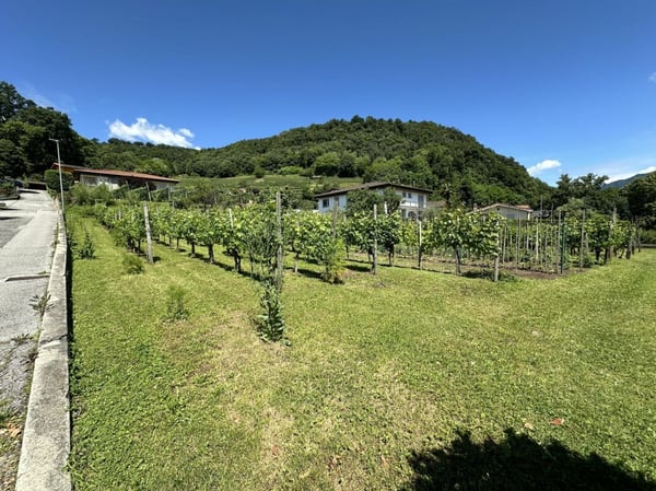 Vendesi interessante terreno edificabile di 1902 mq, in posizione soleggiata e centrale 1