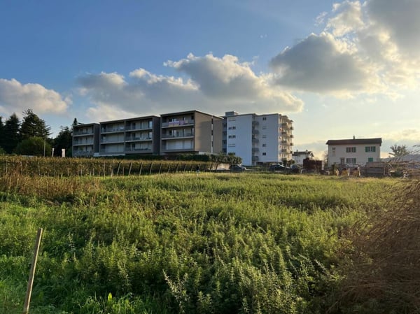 Terreno industriale di ca. 2'600 mq a Mendrisio 1