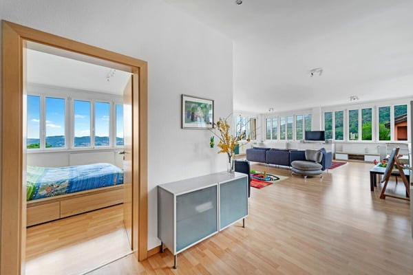 Ampia proprietà misto residenziale-commerciale con vista 2