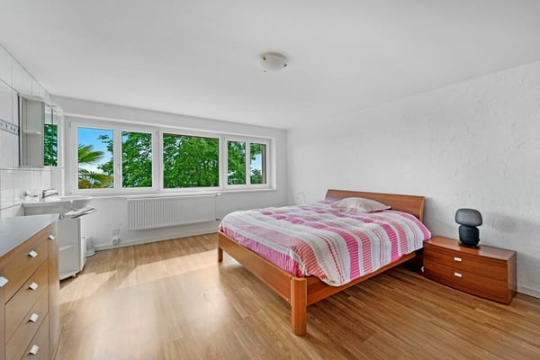 Ampia proprietà misto residenziale-commerciale con vista 7