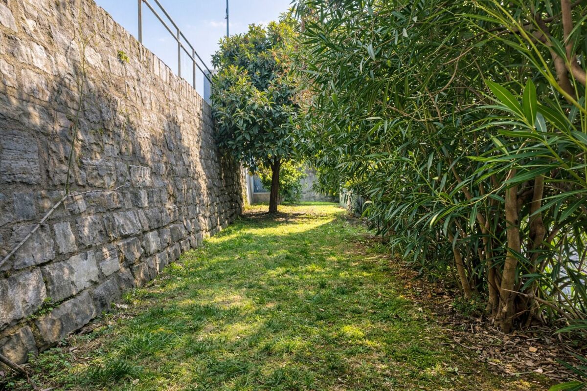 Graziosa casa unifamiliare nel centro storico, ristrutturata