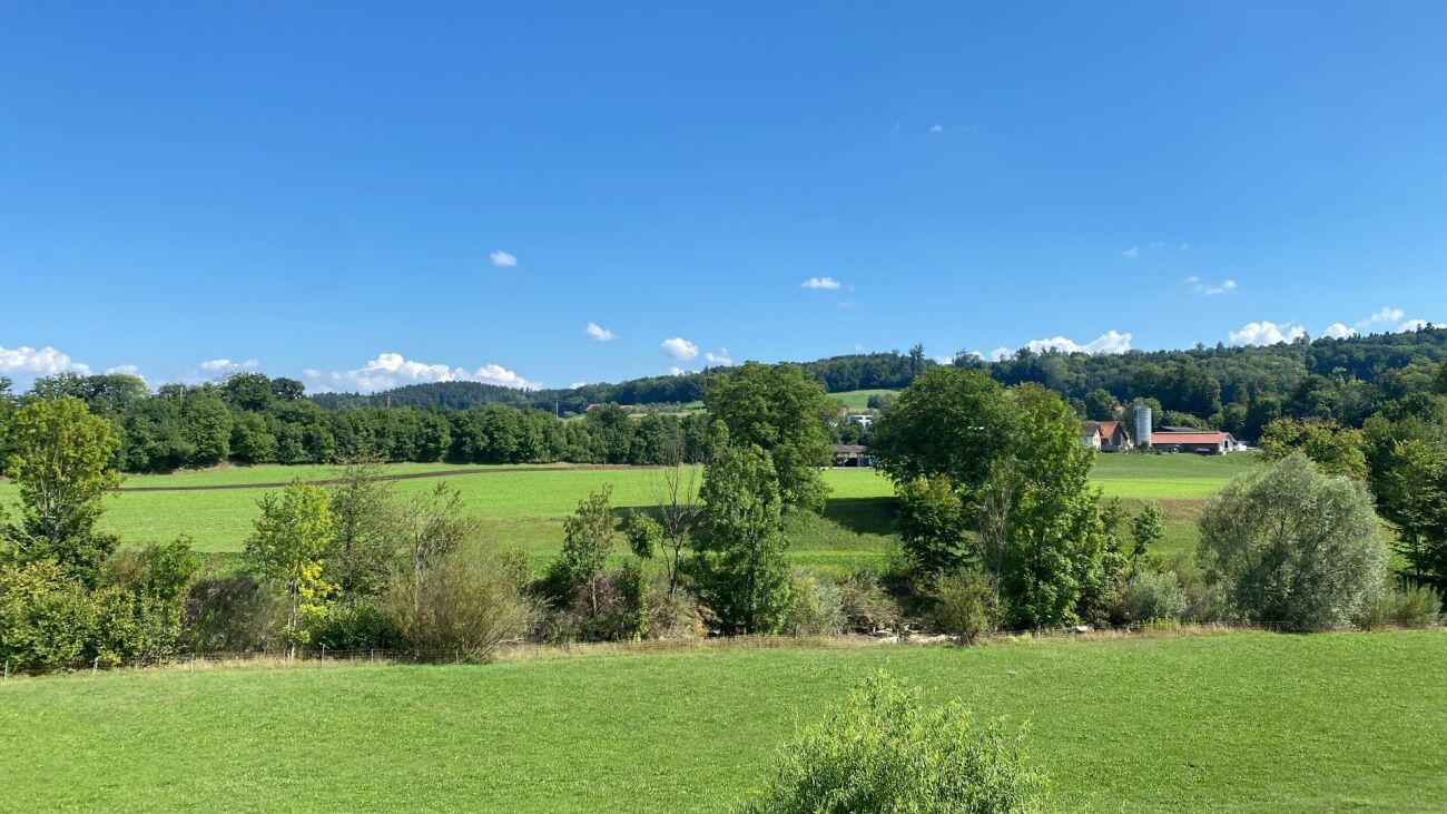 4.5 Zimmer Wohnung mit Aussicht ins Grüne
