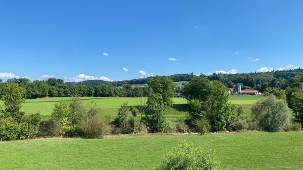 4.5 Zimmer Wohnung mit Aussicht ins Grüne 11