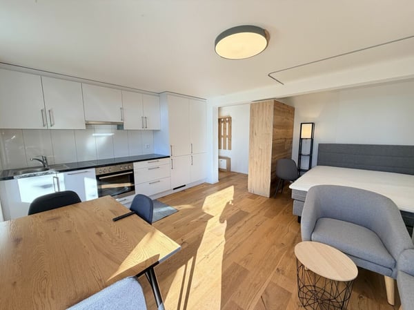 Möblierte 1-Zimmer-Wohnung mit Balkon 2