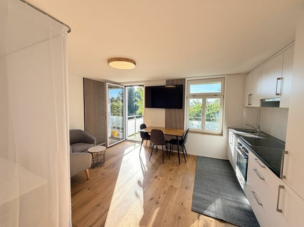 Möblierte 1-Zimmer-Wohnung mit Balkon 1