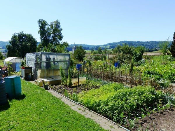 Attraktive 1.5 Zimmer Familienwohnung 21