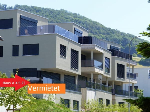 ATTRAKTIVES 4.5 ZIMMER-DEFH ZUM MIETEN / NEUBAU 1