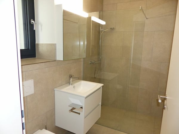 ATTRAKTIVE 5.5 Zimmer DEFH ZUM MIETEN / NEUBAU 3