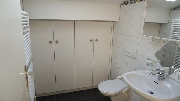 Trimmis - 3½-Zimmer-Dachwohnung 4
