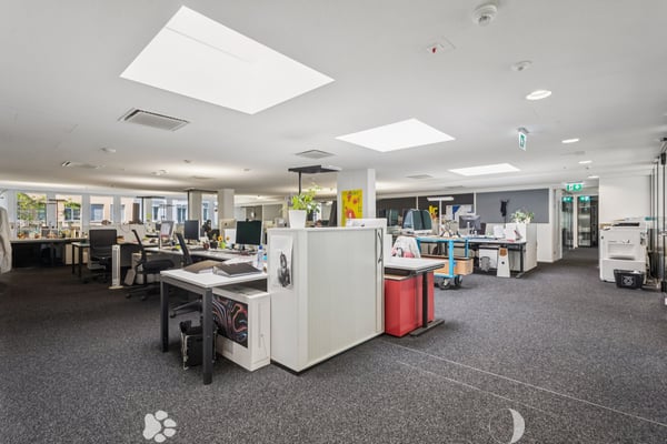Bürofläche an erstklassiger Lage 3