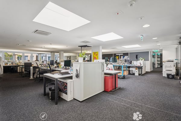 Bürofläche an erstklassiger Lage 3