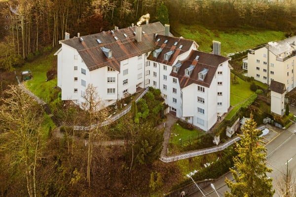 Lichtdurchflutete 1 1/2 Zimmer-Dach-Maisonette-Wohnung mit Nähe zur Natur und bester Infrastruktur 3