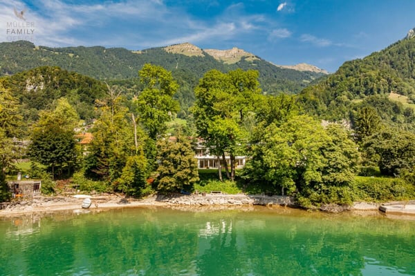 Licht, Luft, See: Exklusive Villa mit Seeanstoss und altem Baumbestand 7