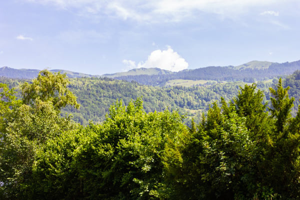 Ein Grundstück inmitten der Berge 14
