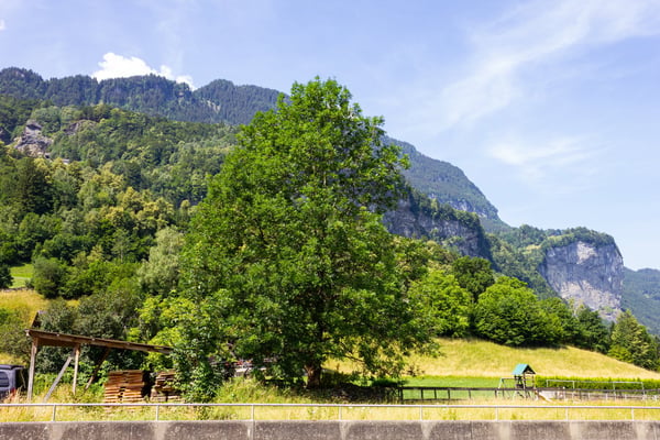 Ein Grundstück inmitten der Berge 10