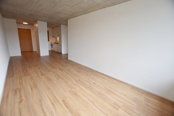 Moderne 1.5-ZWG mit grosser gemeinsamer Dachterrasse 3