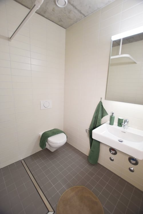 Moderne 1.5-ZWG mit grosser gemeinsamer Dachterrasse 6