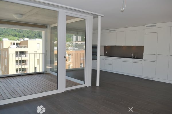 3.5-Zimmer-Attikawohnung mit grosser Terrasse (Blick auf Schüssinsel) 4