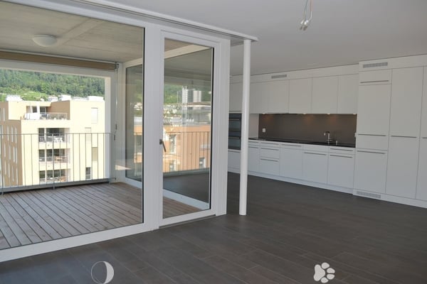 3.5-Zimmer-Attikawohnung mit grosser Terrasse (Blick auf Schüssinsel) 4