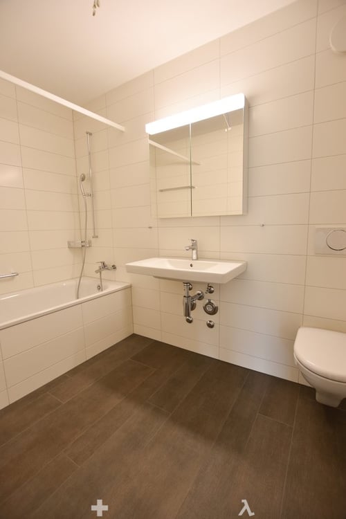 3.5-Zimmer-Attikawohnung mit grosser Terrasse (Blick auf Schüssinsel) 7
