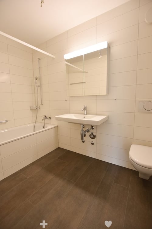 3.5-Zimmer-Attikawohnung mit grosser Terrasse (Blick auf Schüssinsel) 7
