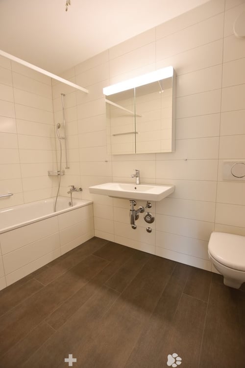 3.5-Zimmer-Attikawohnung mit grosser Terrasse (Blick auf Schüssinsel) 7