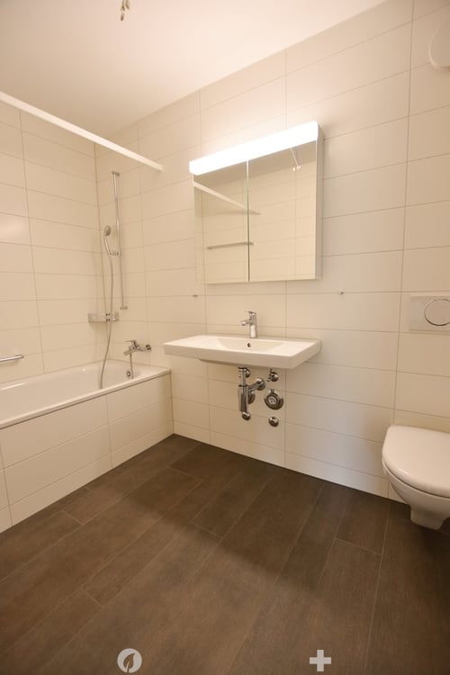 3.5-Zimmer-Attikawohnung mit grosser Terrasse (Blick auf Schüssinsel) 7