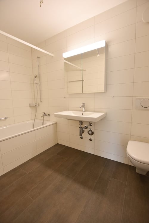 3.5-Zimmer-Attikawohnung mit grosser Terrasse (Blick auf Schüssinsel) 7