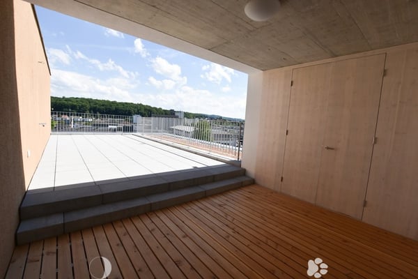 3.5-Zimmer-Attikawohnung mit grosser Terrasse (Blick auf Schüssinsel) 1