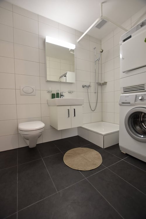 Moderne 4.5-Zimmerwohnung im Hättenbergpark zu vermieten 8
