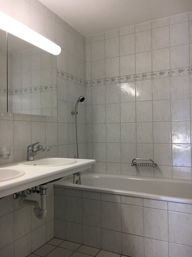Schöne 3.5-Zimmerwohnung mit privater Waschküche 4