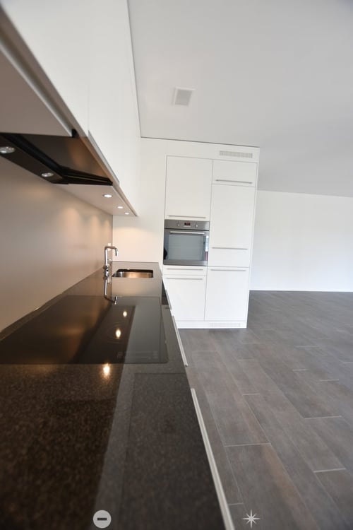 Moderne 2.5-Zimmerwohnung mit direkter Aussicht auf die Schüssinsel 2