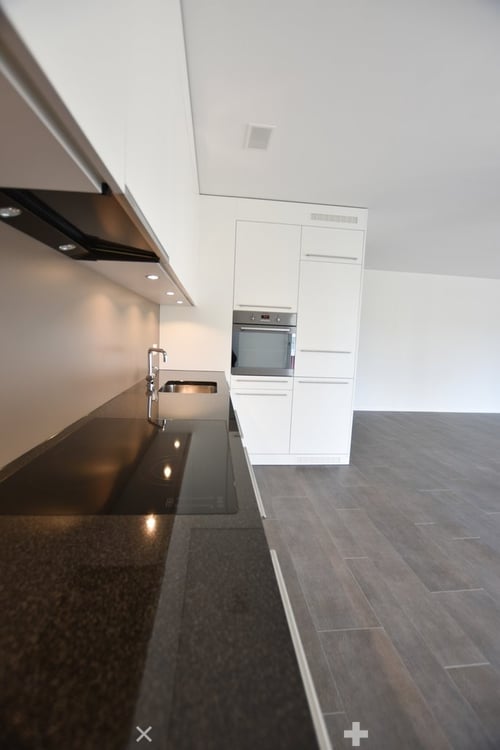 Moderne 2.5-Zimmerwohnung mit direkter Aussicht auf die Schüssinsel 2