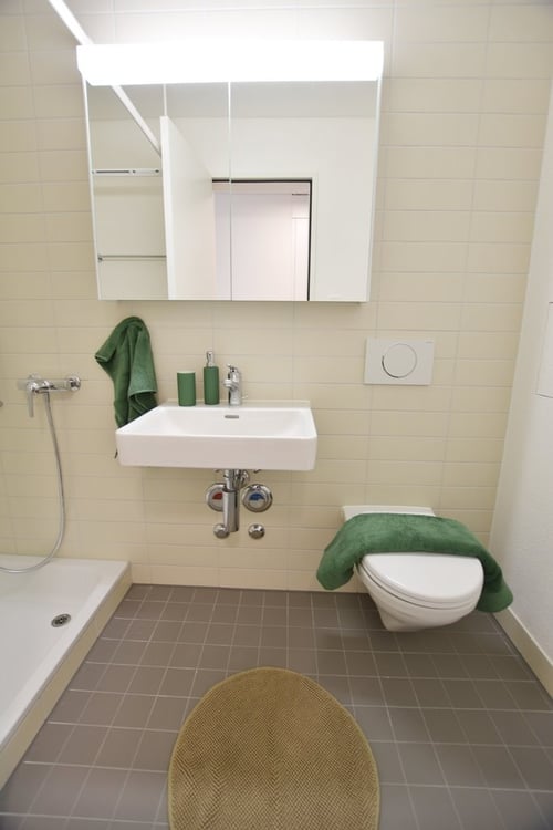 Helle und moderne 3-Zimmerwohnung nähe ÖV 6