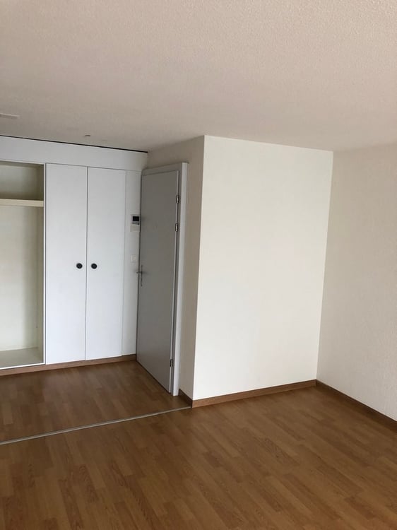 Grosszügiges Studio im Pestalozzipark zu vermieten! 3