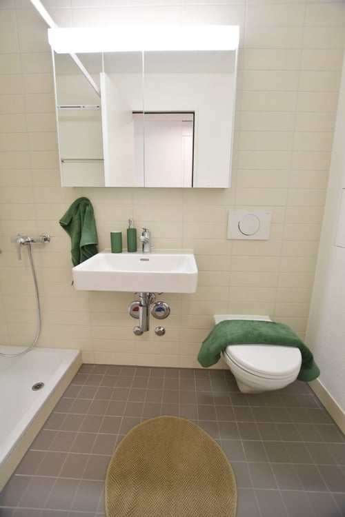 Helle und moderne 1-Zimmerwohnung nähe ÖV 3