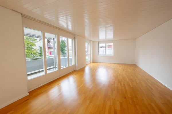 Neu umgebaute Wohnung 2