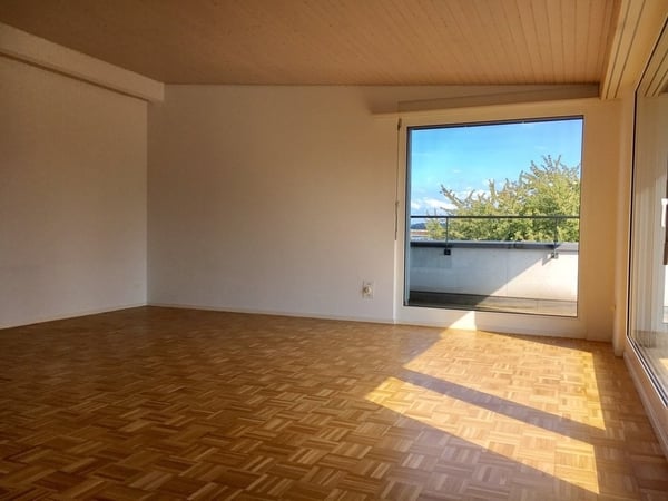 Attikawohnung mit Cheminée, grosser Terrasse + eigener Waschküche 3