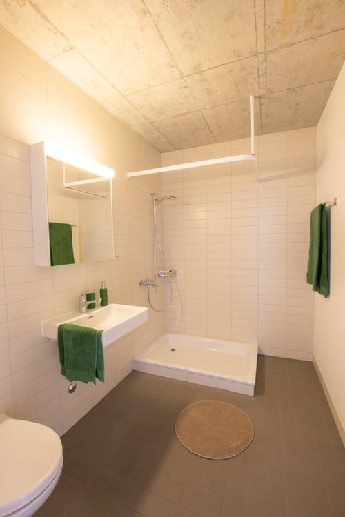 Moderne 2.5-ZWG mit riesiger gemeinsamer Dachterrasse 6
